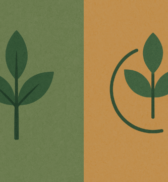 Diferencia entre sustentabilidad y sostenibilidad