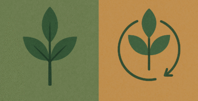 Diferencia entre sustentabilidad y sostenibilidad